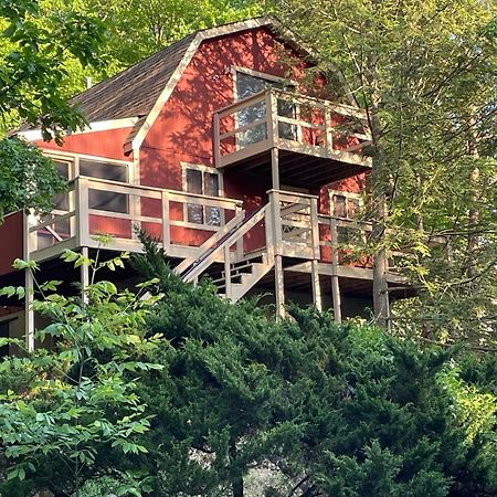 בושקיל Saw Creek Cabin - Regent Hilltop מראה חיצוני תמונה