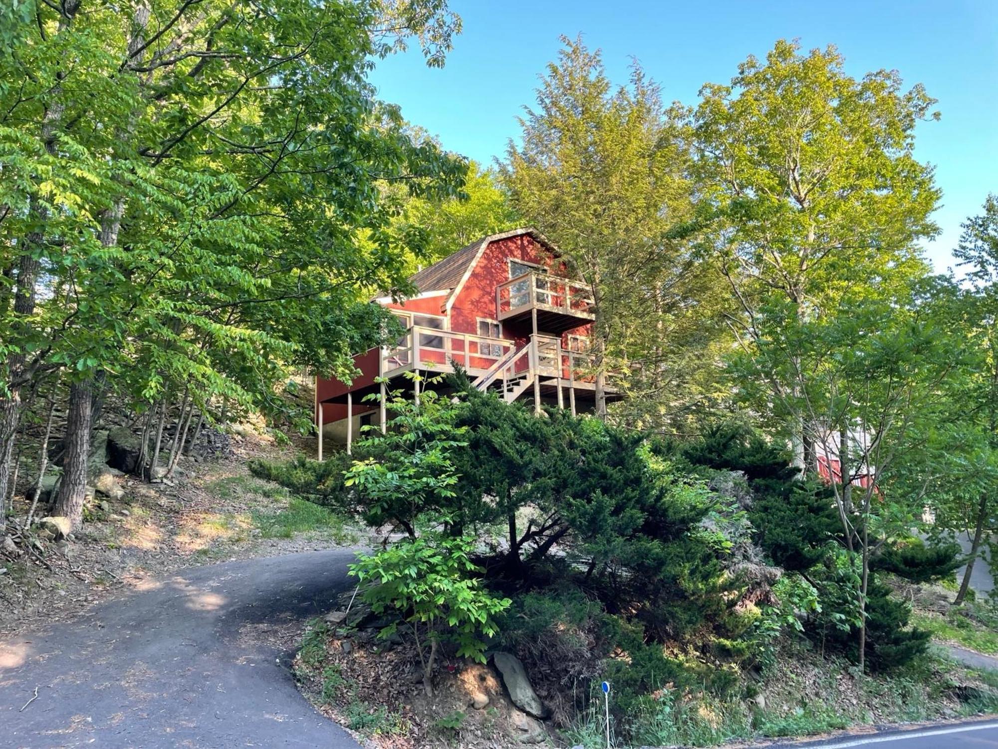 בושקיל Saw Creek Cabin - Regent Hilltop מראה חיצוני תמונה