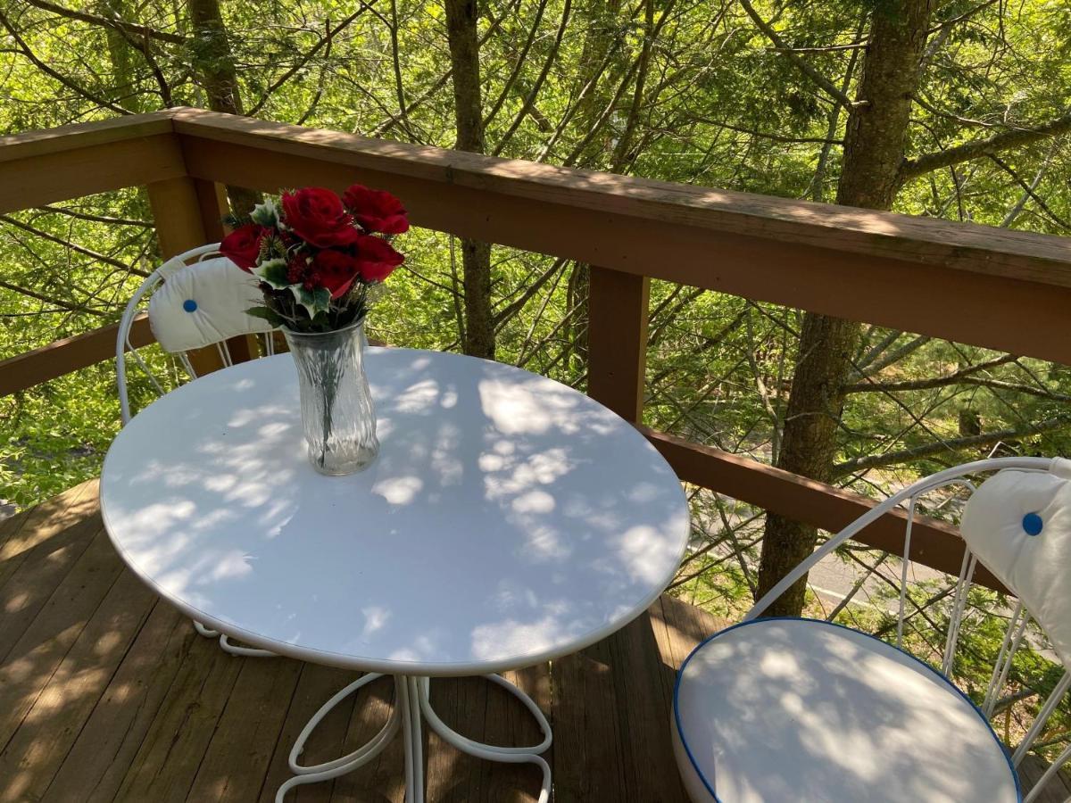 בושקיל Saw Creek Cabin - Regent Hilltop מראה חיצוני תמונה