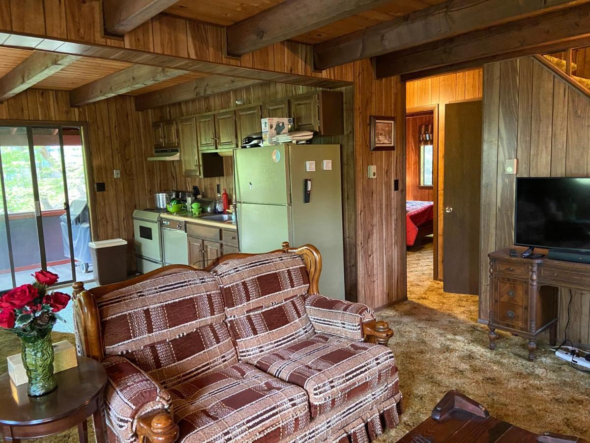 בושקיל Saw Creek Cabin - Regent Hilltop מראה חיצוני תמונה