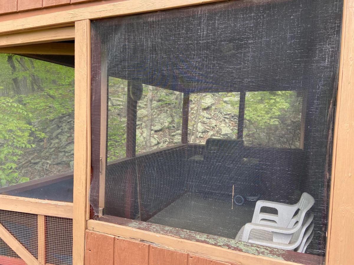 בושקיל Saw Creek Cabin - Regent Hilltop מראה חיצוני תמונה